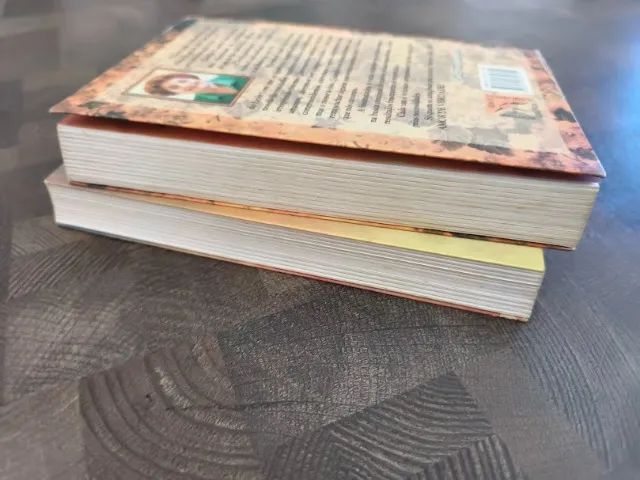Kit com 2 livros de Zibia Gasparetto Quando é preciso voltar e Um amor de Verdade - Foto 4