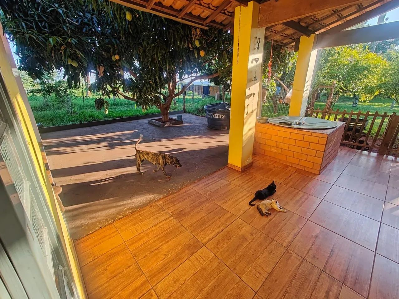Chácara próximo a cidade  - Foto 4