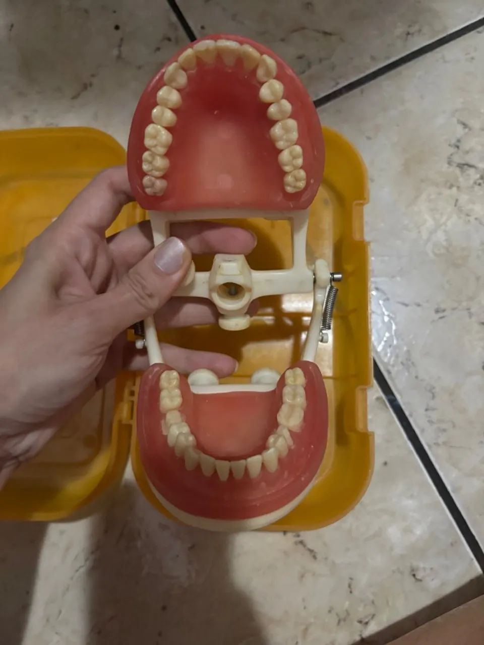 Manequim dentistica  - Foto 3