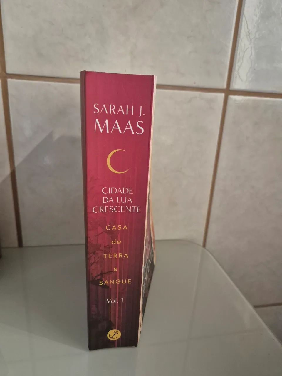 Livro saga Cidade da Lua Crescente  - Foto 2