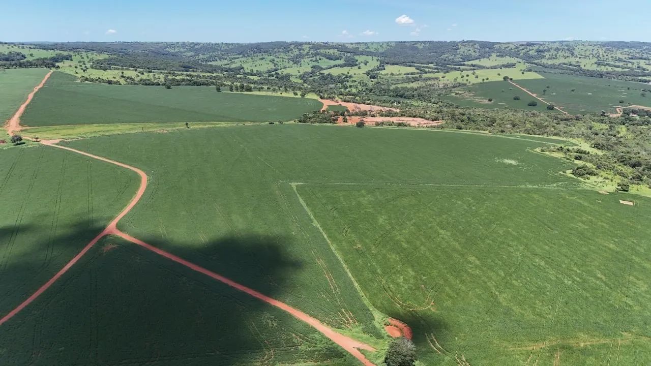 Fazenda em Morrinhos-go - Foto 3