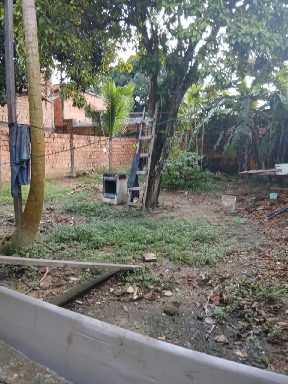Terreno  - Foto 2