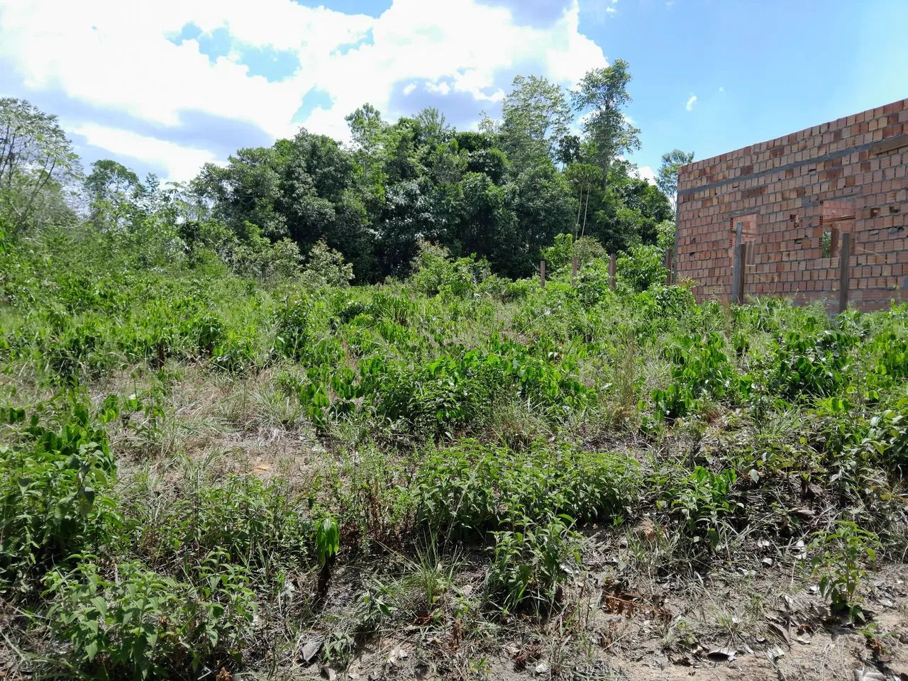 Terreno em Rio Preto da Eva - Foto 2