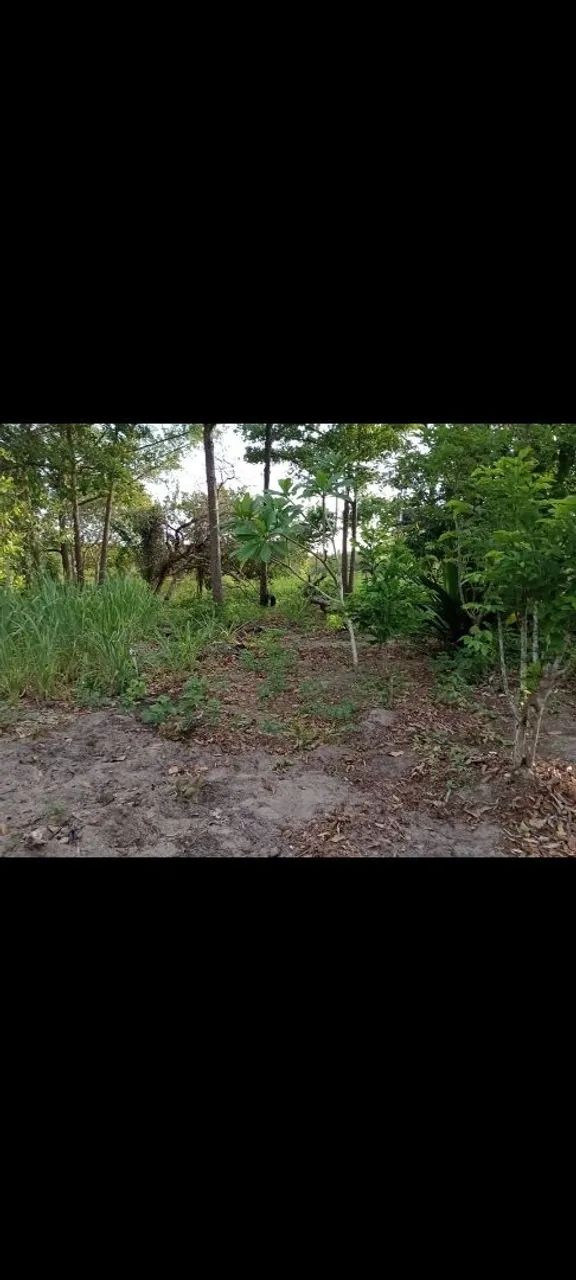 Venda 7 hectares 