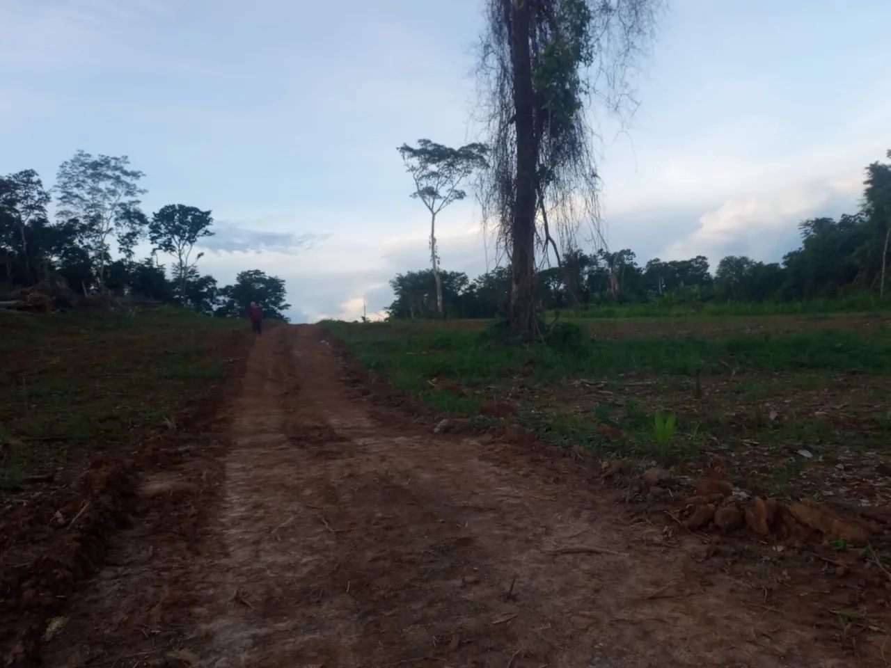 Terrenos no Arco viário. - Foto 2