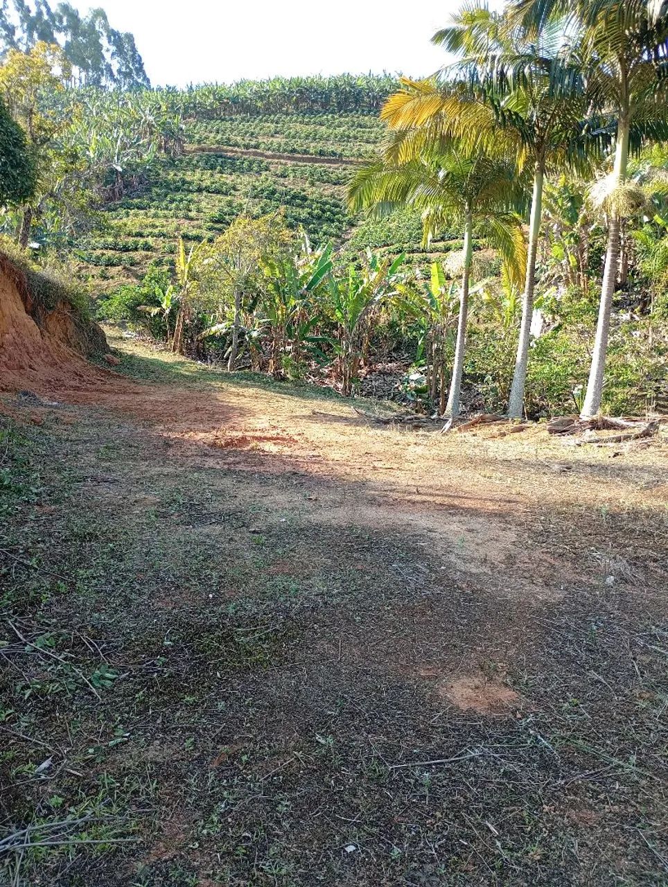 Terreno interior de Alf. Chaves  - Foto 4