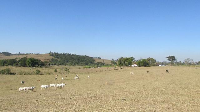 Sitio próximo a ponte do paraíba(campos do jordão) - Foto 9