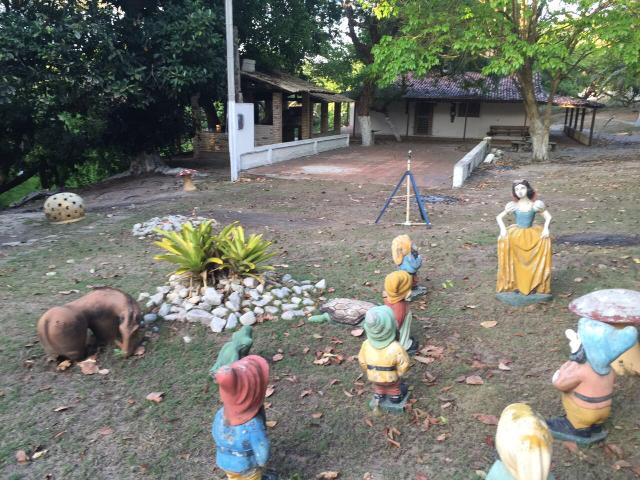 Granja pium - Foto 2