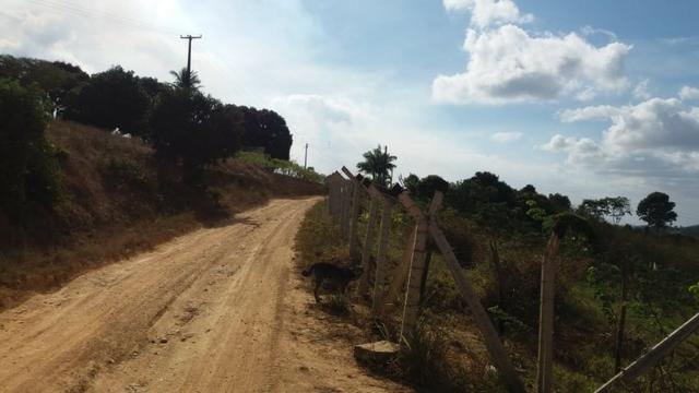 Propriedade de 5 hectares, escriturada, entre Escada e Vitória de Santo Antão-PE - Foto 8