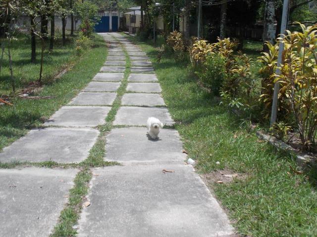 Sitio - Foto 3