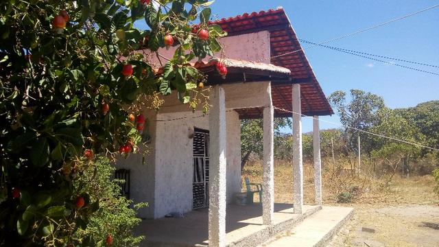 Propriedade Rural - Foto 18