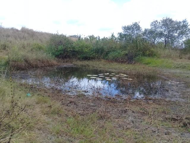 Pombos-Vend. 480 mil reais-Tem 120 Hect. Fazenda Completa,Água,Pastos, e mais - Foto 8