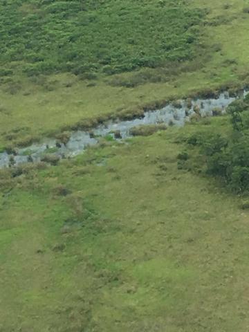 Excelente Fazenda no Pantanal do Mato Grosso do Sul - Foto 16