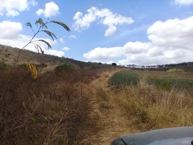 Pombos-Vend. 480 mil reais-Tem 120 Hect. Fazenda Completa,Água,Pastos, e mais - Foto 9