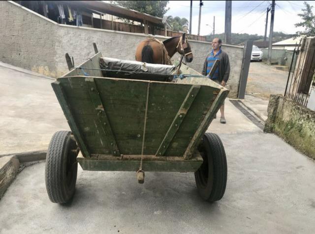 Cavalo com duas carroças + máquina de picar ração - Foto 4