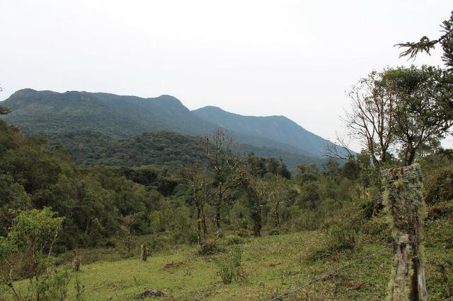 Terrenos próximo a Represa - Foto 8