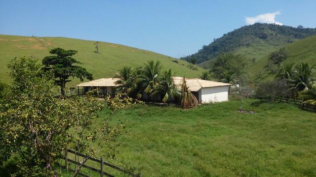 Jordão Corretores - Fazendinha 21 Hectares Papucaia - Foto 13