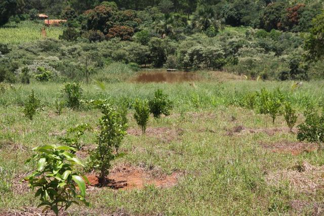 Sítio de 3 hectares 30.000m² por 100.000,00 - Foto 6