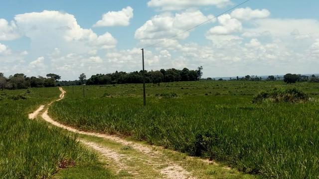 Fazenda Produtiva de Frango P/Frigor Projeto Aprovado - Nova Marilândia - 7 Km da Cidade - Foto 10