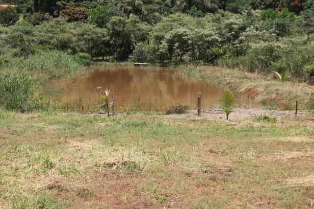Sítio de 3 hectares 30.000m² por 100.000,00 - Foto 4