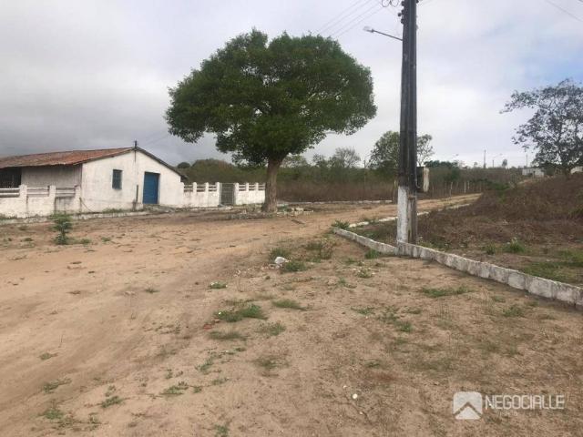 Excelente granja em são josé da mata (10 hectares) - Foto 4