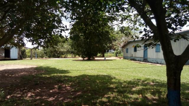 Fazenda Produtiva de Frango P/Frigor Projeto Aprovado - Nova Marilândia - 7 Km da Cidade