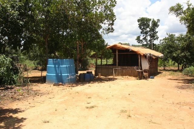 Sítio de 3 hectares 30.000m² por 100.000,00 - Foto 19