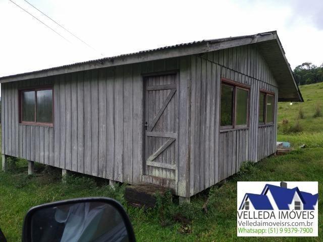 Velleda of. Fazenda 189 hectare, especial p/ gado, açudes, casa , maquiné - Foto 9