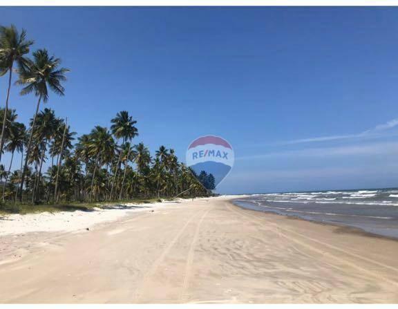 Terreno à venda, 117242 m² por r$ 3.100.000 - aritaguá - itacaré/ba - Foto 3