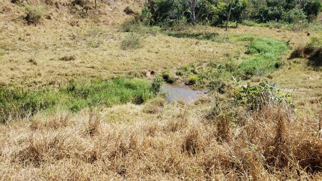 Fazenda 42 Alqueires em Campanário/MG, região de Governador Valadares/MG - Foto 18