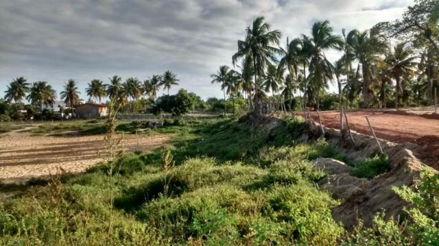 Terreno Residencial / Mosqueiro -TE0005 - Foto 3
