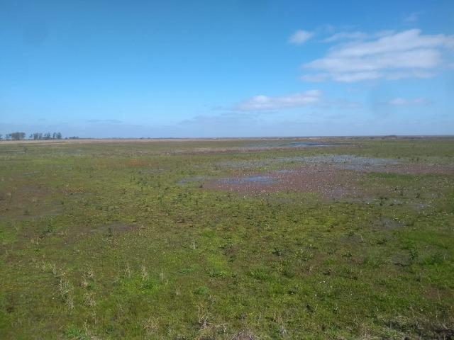 Área de terra 154 ha em Mostardas-Rs - Foto 11