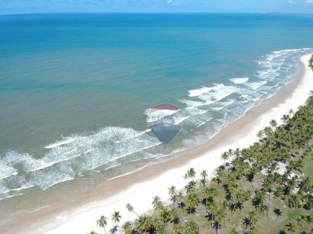 Terreno à venda, 117242 m² por r$ 3.100.000 - aritaguá - itacaré/ba - Foto 2