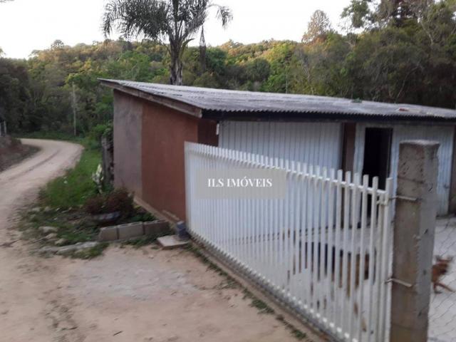 Chácara em mandirituba - Foto 5