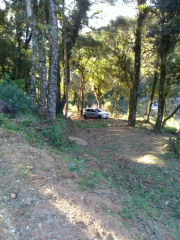 Chácara - Foto 5