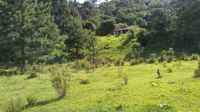 Fazenda Terreno Rural Sitio Chácara Gado - Foto 16