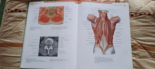 Atlas de Anatomia Humana Sobotta - Foto 5
