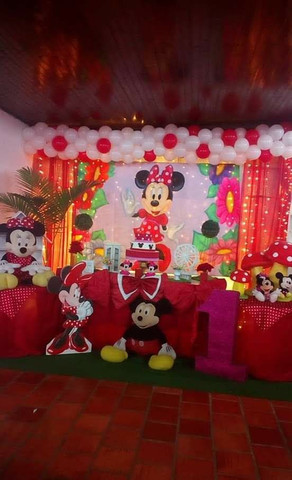 Material completo para Festa - Foto 5