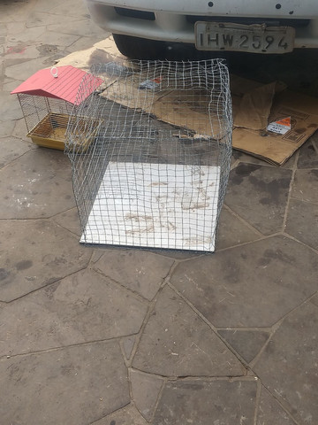 Gaiola para porquinho da índia