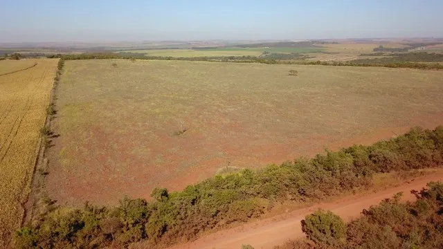 Fazenda plantando Soja a venda em Brasília DF Paranoá DF Pad-DF