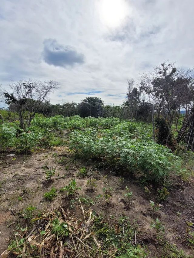 Terreno pra vender  em bela vista