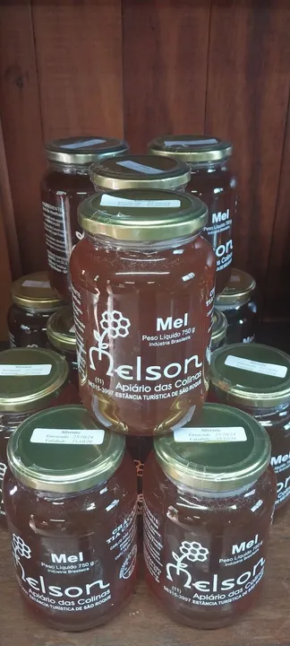 Mel de abelha puro - Apiário Nelson das colinas