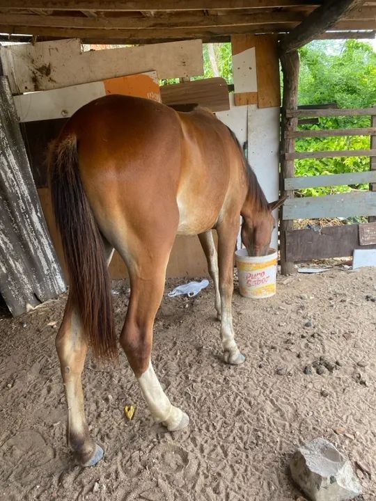 Poltra 1 ano e 5 mês!