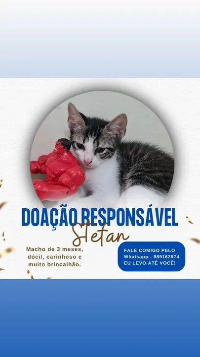 Doação!! Faço a entrega!! - Foto 3