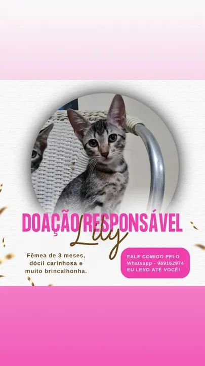 Doação!! Faço a entrega!!