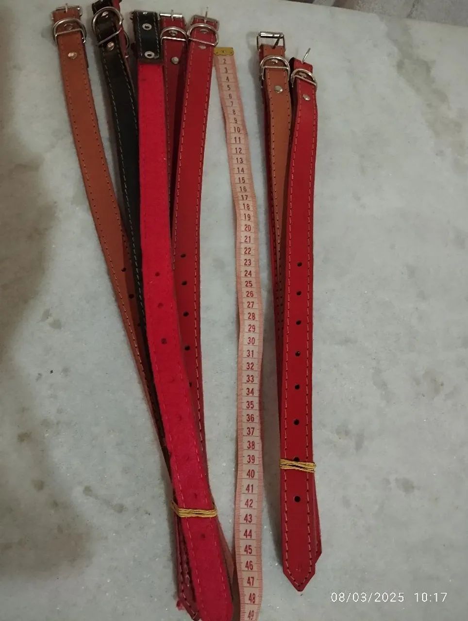 Acessórios para cães -Novo - Foto 3