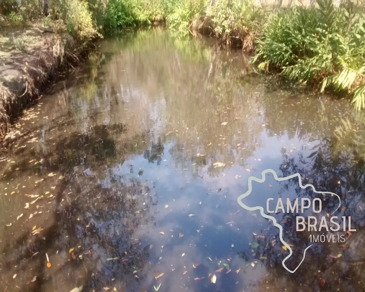 SÍTIO 32.000M² EM PARAISÓPOLIS - MG ! - Foto 2