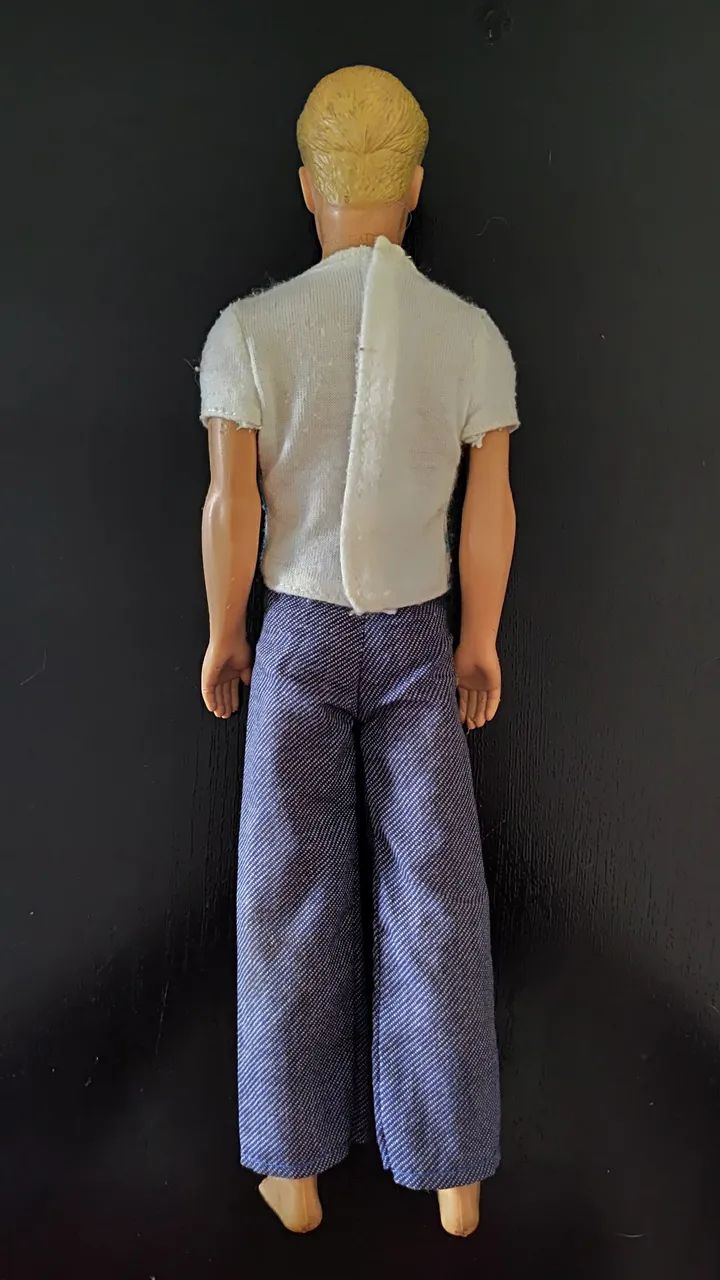 Ken (Coleção Barbie) - Foto 2