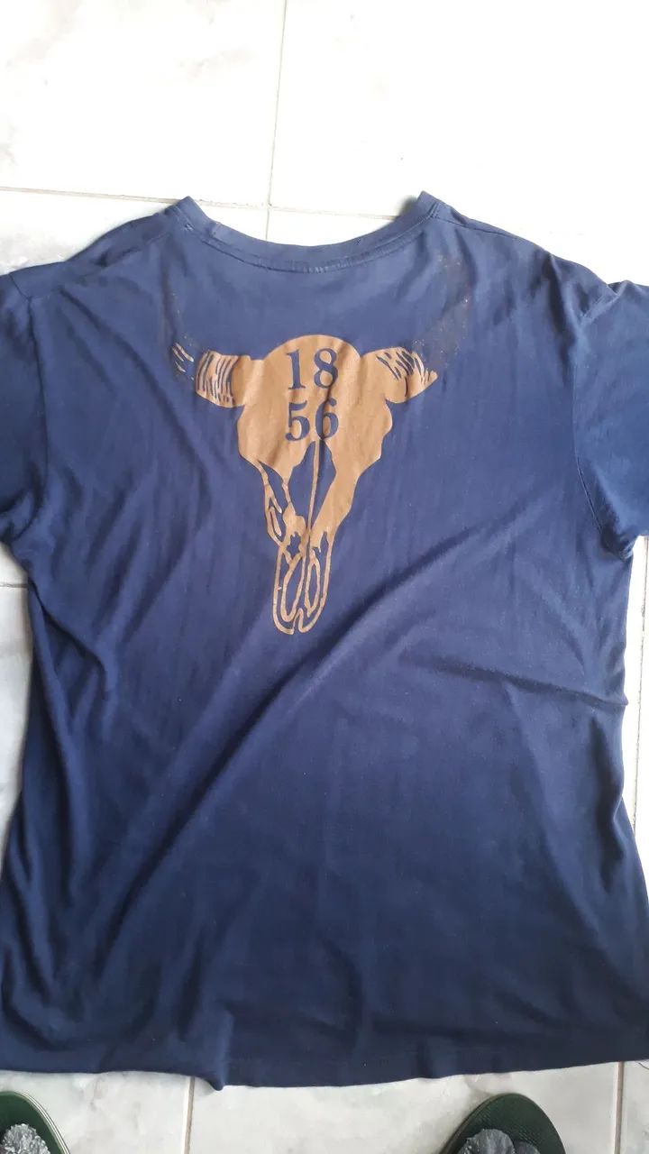 Camiseta Masculina Azul com Estampa