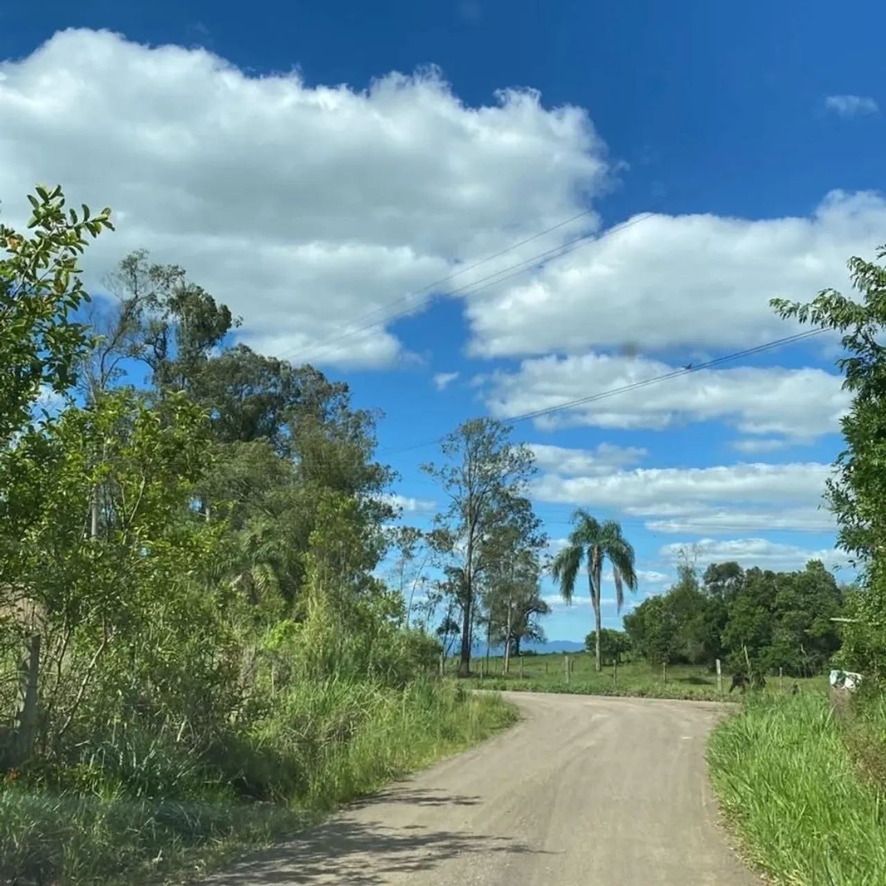 Chácara em taquara  - Foto 6